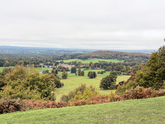 view